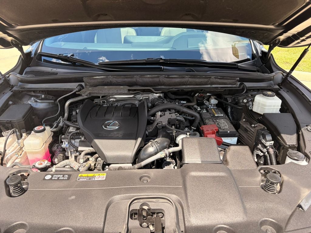 2024 Lexus RX 350 Premium Plus