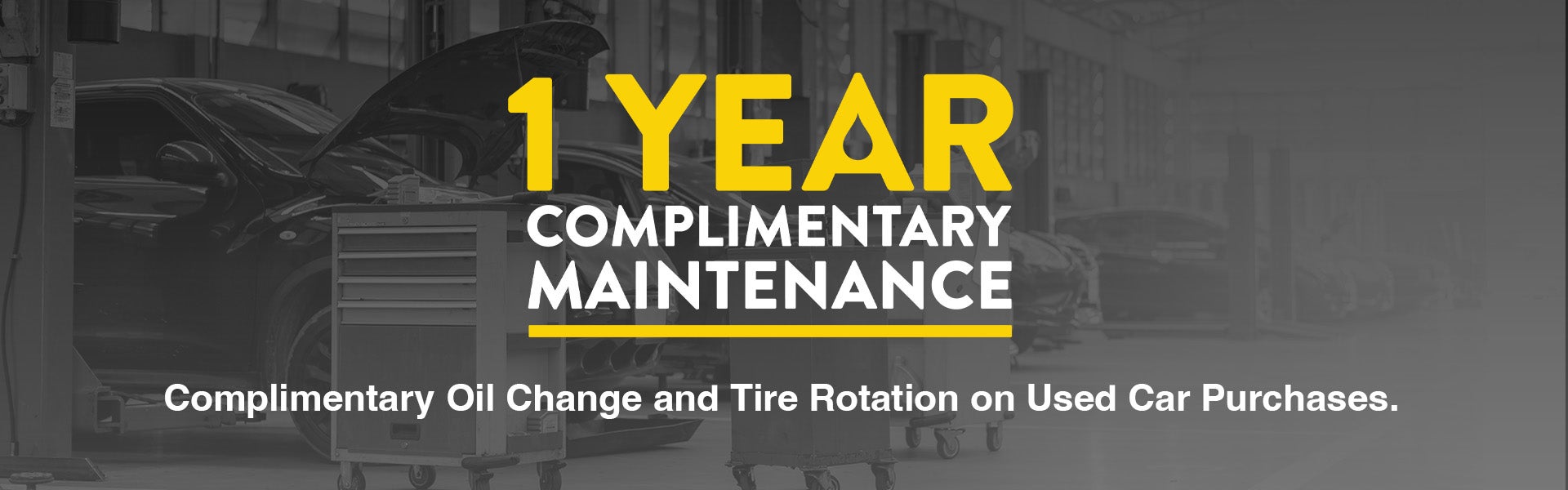 1 Year Complimentary Maintenance