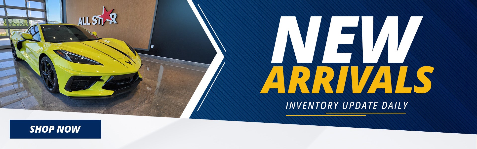 New Arrivals Inventory Update Daily